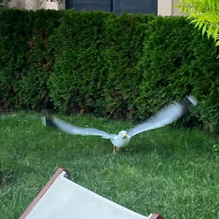 Aphrodite Gardens D208, 써니비치