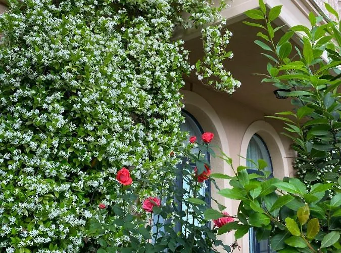 Aphrodite Gardens D208, Apartamento *